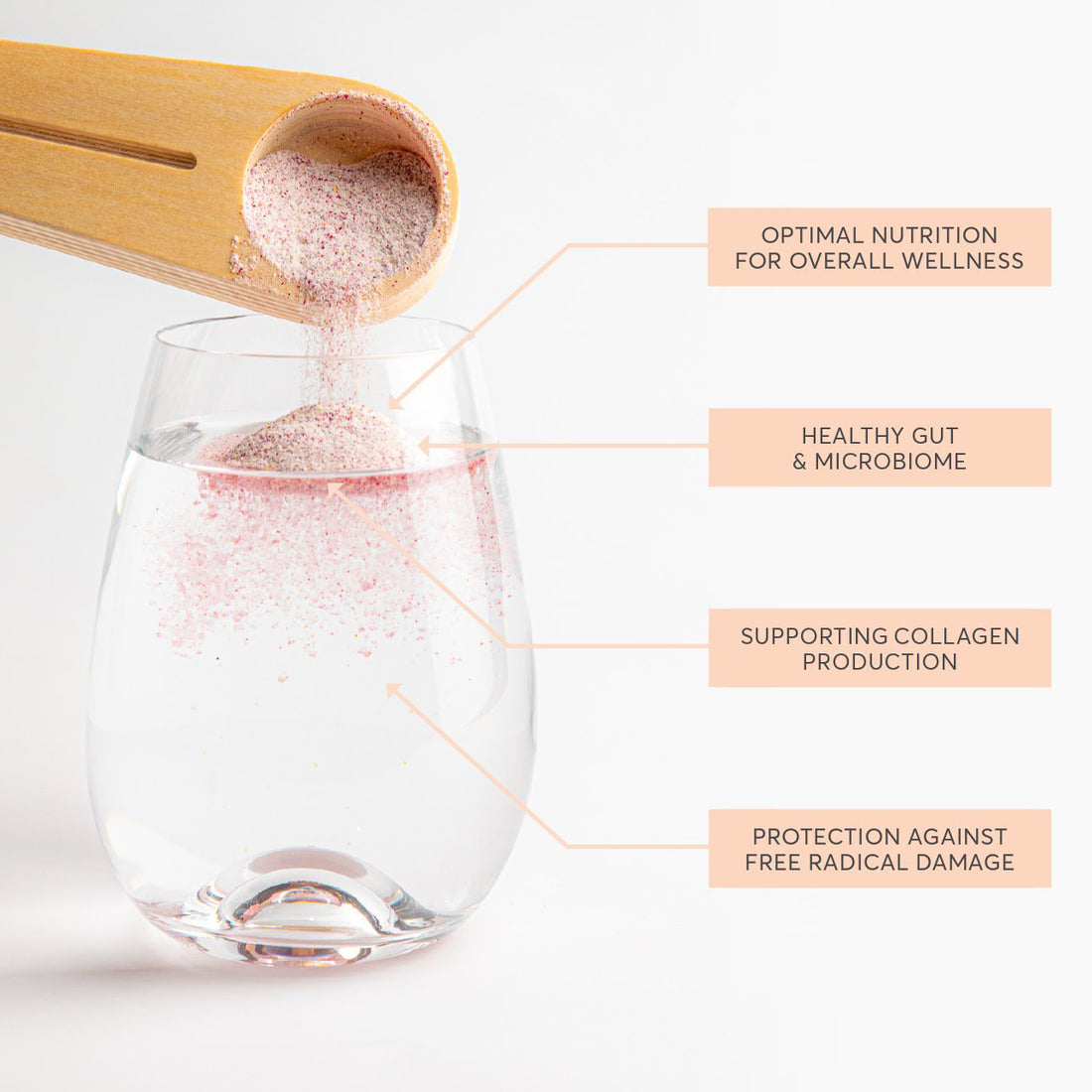 The Four Pillars of Optimal Skin Health